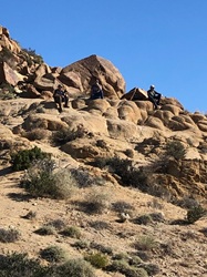 "click" for larger image