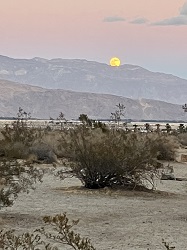 "Click" for larger size photo