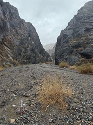 "Click" for larger image