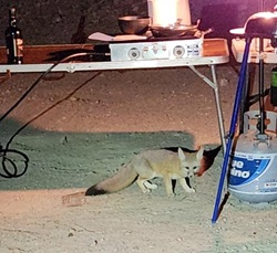 "Click" for larger image