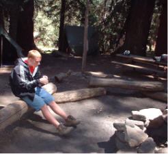 click for full-size image