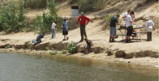 click for full-size image