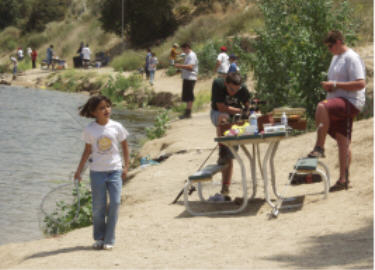 click for full-size image