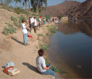 click for full-size image