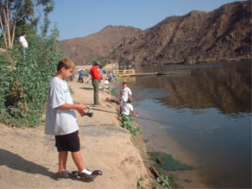 click for full-size image