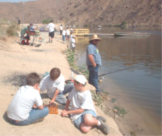 click for full-size image