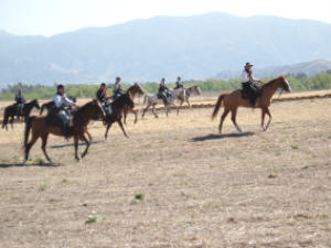 "Click" for larger size image