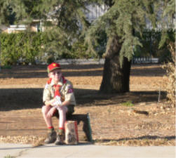 "click" for larger image