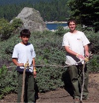 "click" for larger image