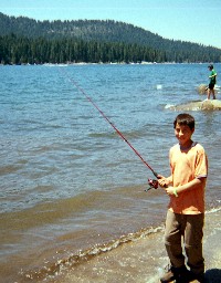 "click" for larger image