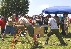 "click" for larger image