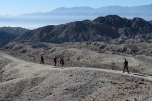 "click" for larger image