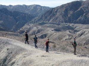 "click" for larger image