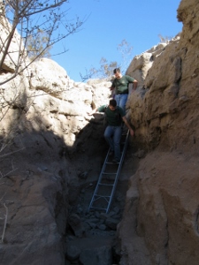 "click" for larger image