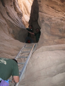 "click" for larger image