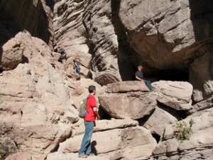 "click" for larger image