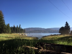 "click" for larger image