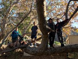 "click" for larger image