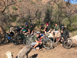 "click" for larger image