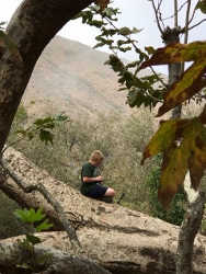 "click" for larger image