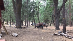 "click" for larger image