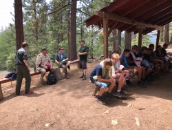 "click" for larger image