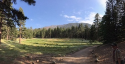 "click" for larger image