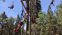 "click" for larger image