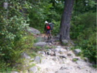 "click" for full size image