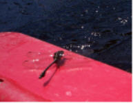 "click" for full size image