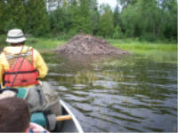 "click" for full size image