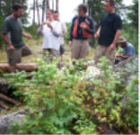 "click" for full size image