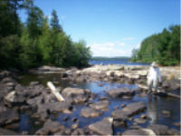 "click" for full size image