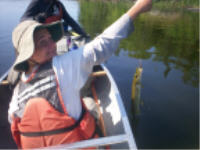 "click" for full size image