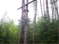 "click" for full size image