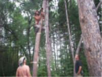 "click" for full size image