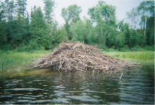 "click" for larger image