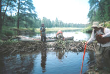 "click" for larger image