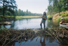 "click" for full size image