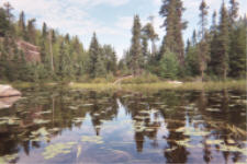 "click" for full size image