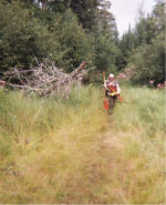 "click" for full size image