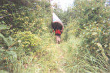 "click" for full size image