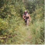 "click" for full size image