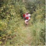 "click" for full size image