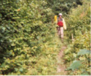 "click" for full size image