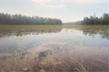 "click" for full size image