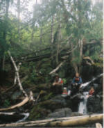 "click" for full size image