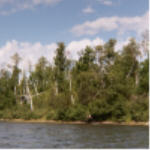 "click" for full size image