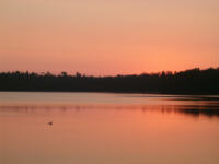 "click" for full size image