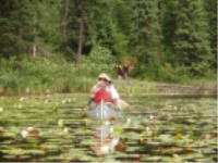 "click" for full size image